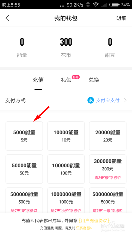 荣耀战魂铁钱包购买_巴富莉钱包购买地址_im钱包怎么购买trx能量