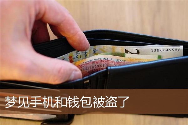 钱包被盗了_找回钱包最准的方法_im钱包被盗如何找回