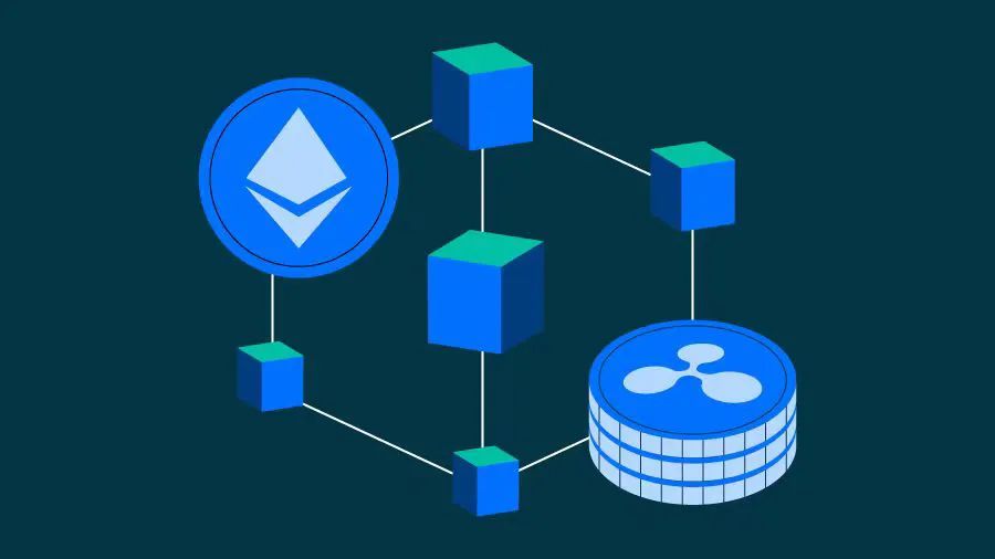 钱包公司是违法吗_imtoken钱包是哪个公司的_钱包公司是干嘛的