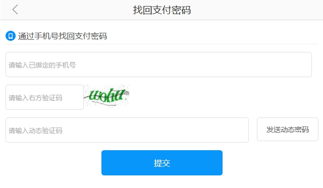 imtoken忘记支付密码_imtoken支付密码怎么找回_找回密码支付微信密码
