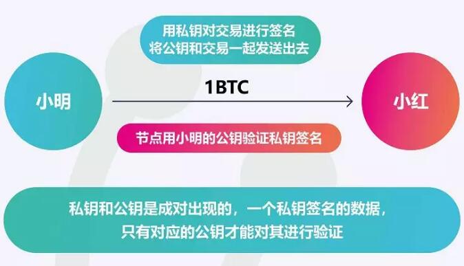 im比特币钱包-数字资产管理新选择，让你的财富更安全