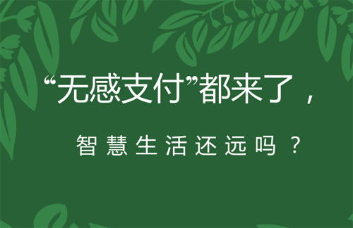 imtoken支付密码怎么找回_imtoken忘记支付密码_imtoken支付密码怎么找回