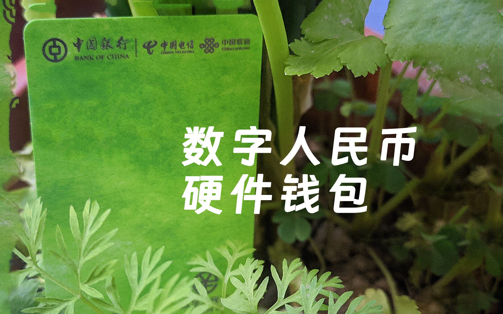 创建imtoken钱包_钱包创建教程_钱包创建密码无法下一步