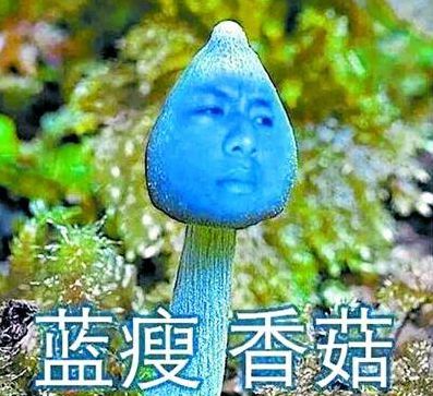 转入imtoken需要多久_imtoken转账多久到账_imtoken钱包转账教程