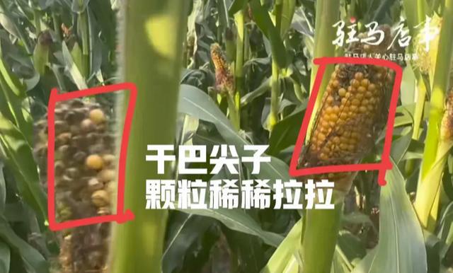 im钱包转账失败了扣矿工费_钱包转账矿工费不足_tp钱包转出矿工费不足