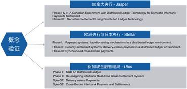 周子涵谈区块链,成果是“熬”出来的