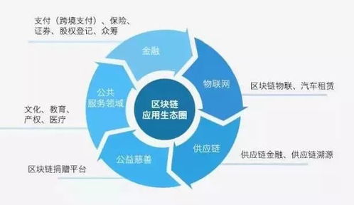 种子币区块链,起源、特点与应用前景