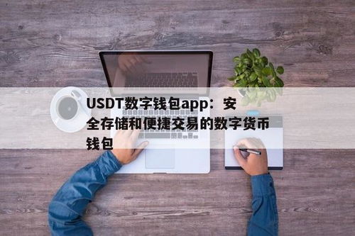 支持usdt数字钱包,安全、便捷的数字资产管理利器