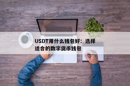 usdt钱包使用的国家有哪些,USDT钱包使用的国家概览