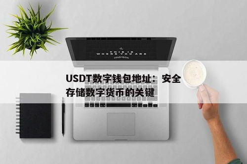 外国人数字钱包有没有usdt,外国人使用数字钱包时是否支持USDT？