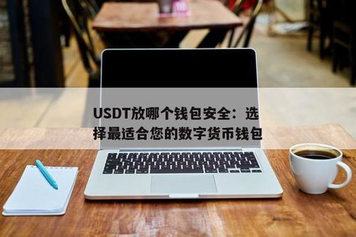 什么钱包可以放usdt,USDT钱包的选择与使用指南