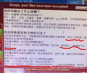 比特币勒索病毒典型症状,揭秘其典型症状与应对策略