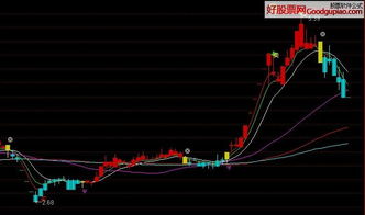 比特币牛熊指标公式,比特币牛熊指标公式揭示市场动态