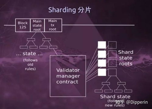 什么是以太坊分片政策,解锁区块链可扩展性的未来之路