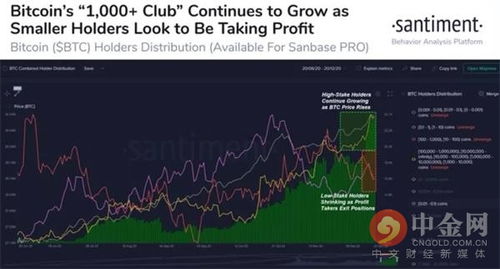 手上有1000枚比特币,数字货币的传奇财富与未来展望