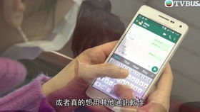 whatsapp分流宝,轻松实现高效沟通与隐私保护