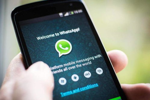 whatsapp安全否,揭秘隐私保护与数据安全的双重保障