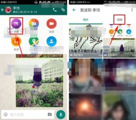 whatsapp发送对话记录,揭秘日常沟通中的精彩瞬间
