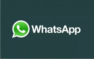 whatsapp 表示什么,即时通讯的全球影响力与隐私挑战