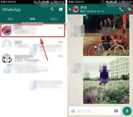 whatsapp 发给自己,探索个人通讯的便捷与乐趣