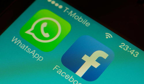 whatsapp发图片发不出去,常见原因及解决方案