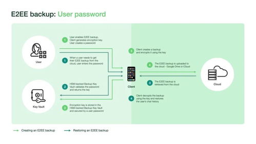 whatsapp端到端加密怎么关闭,WhatsApp端到端加密关闭与密钥生成流程