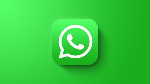 whatsapp附近人,解锁社交新天地