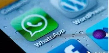 whatsapp groip,揭秘社交新趋势下的沟通奥秘