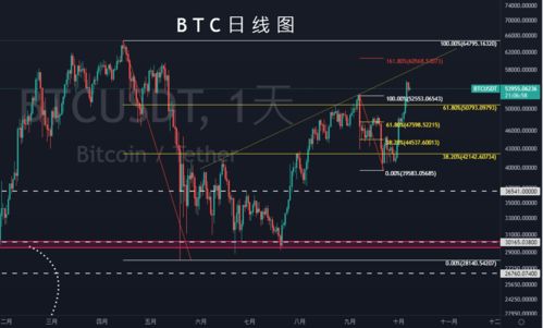加密货币和现货黄金,双重避险资产的市场博弈与未来展望