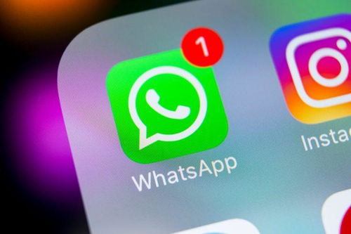 whatsapp 又用不了,畅享全球无界交流