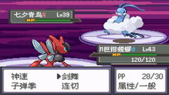 口袋妖怪黑暗之火游戏 
