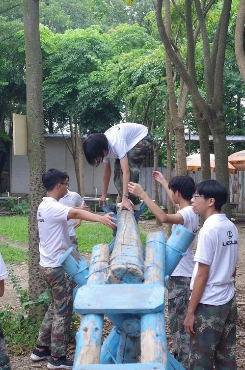 简单的沙盒2游戏下载 