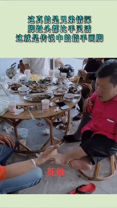 应用猫画质助手画质修改器免费版下载 