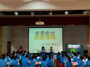 小鸟音乐会游戏 