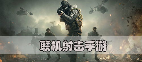 枪很多的射击 