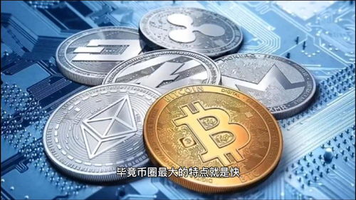 韩国加密货币认可度如何,本土化趋势显著