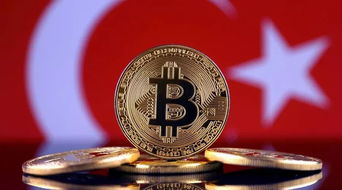 持有加密货币要清仓吗,专家建议适时清仓避险