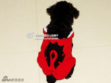 泡泡大作战游戏手机游戏 