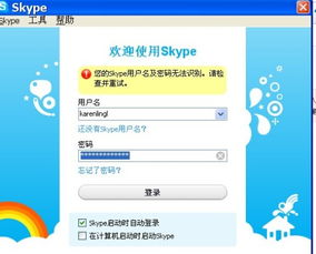 电脑网页版skype无法登录,无法登录原因及解决方法