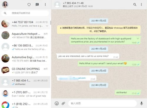 国内号安装whatsapp显示,体验跨国沟通新方式