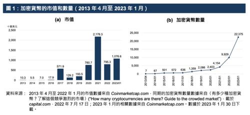 加密货币持有率,财富分布与市场格局分析