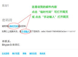 公司要skype密码是什么意思,安全与隐私的双重保障