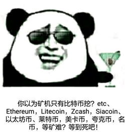表情包加密货币,趣味与金融的跨界融合
