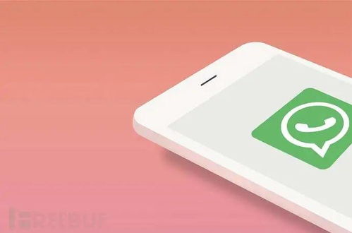 不同ID备份whatsapp,打造专属WhatsApp数据安全档案