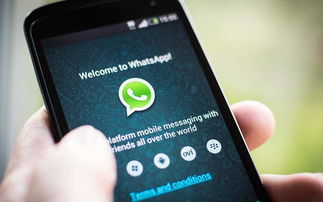 华为应用市场装whatsapp,华为应用市场助你畅享WhatsApp沟通新体验