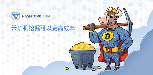不能注册加密货币挖掘池,无法注册的加密货币挖掘池之谜
