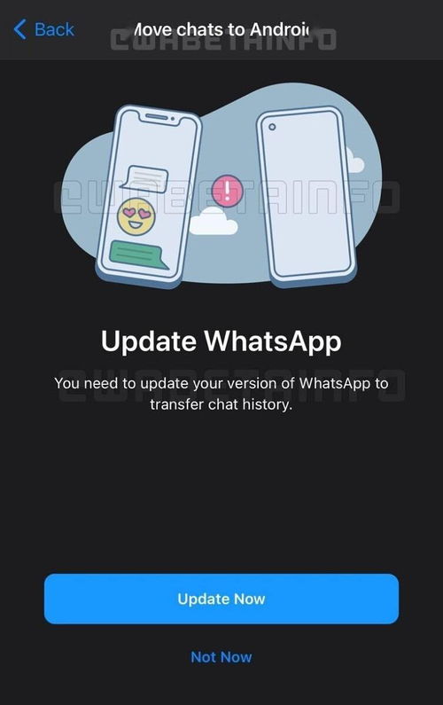 合并whatsapp聊天记录,WhatsApp聊天记录的精彩回顾