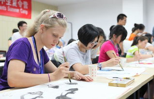 汉办志愿者英文skype面试,Experience the HSK Volunt